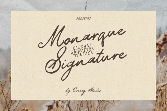 Monarque Signature: An Elegant Script Typeface for Web Designers